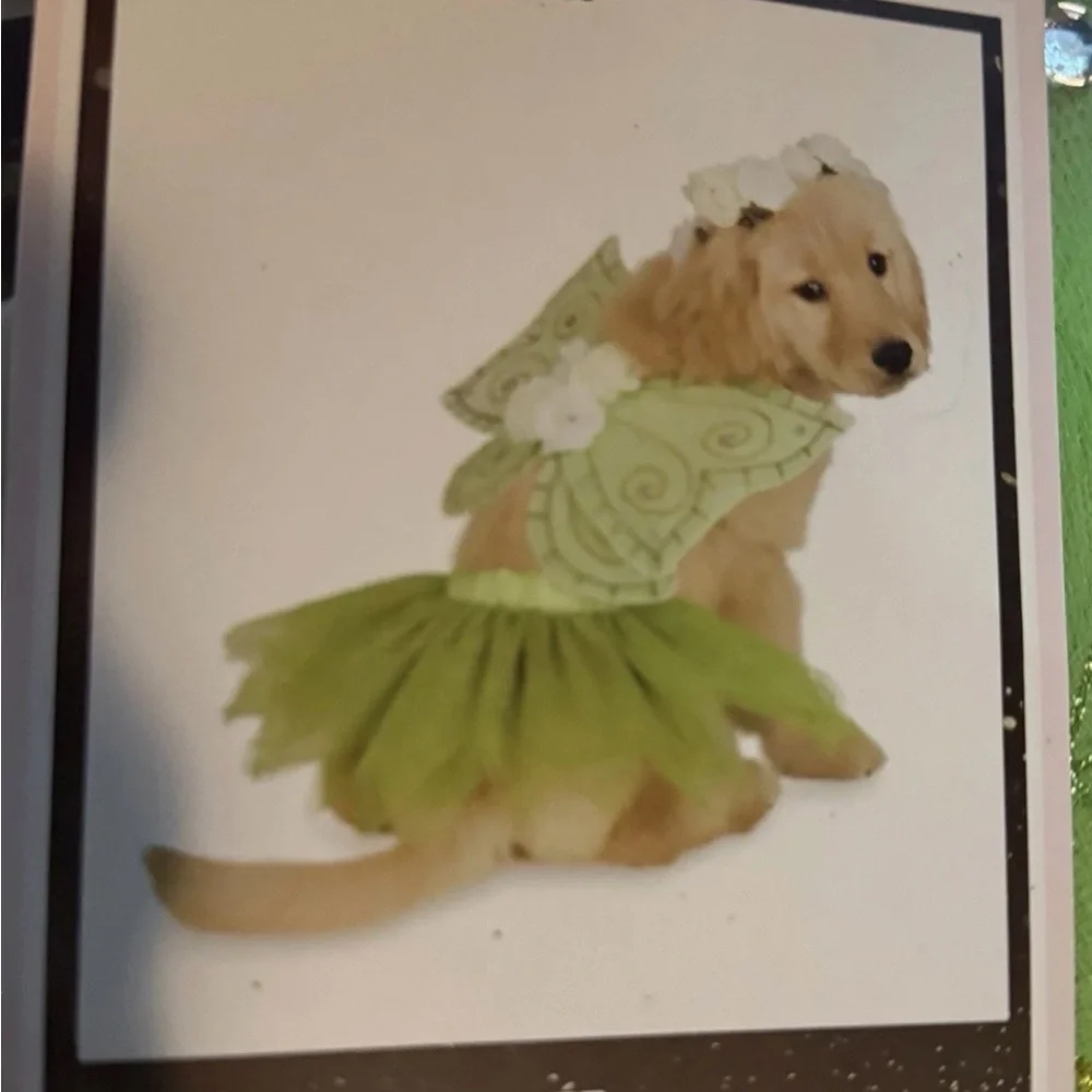 Fairy Dog Costume Green Tutu Dress Wings Flower Crown Size L
